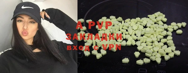 ГАЛЛЮЦИНОГЕННЫЕ ГРИБЫ Белоозёрский