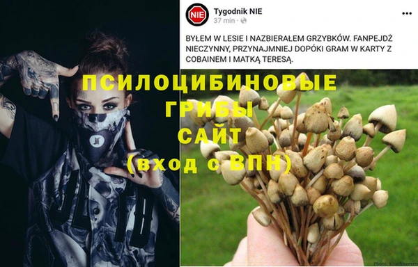 ешки Беломорск