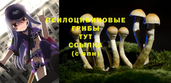 ГАЛЛЮЦИНОГЕННЫЕ ГРИБЫ Белоозёрский